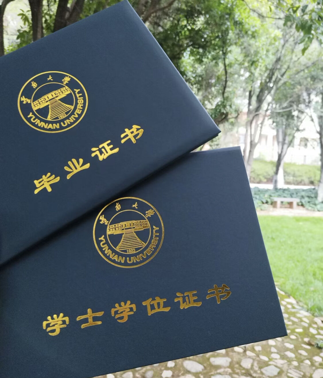 校园信息-云南大学-呈贡校区-毕业证书2