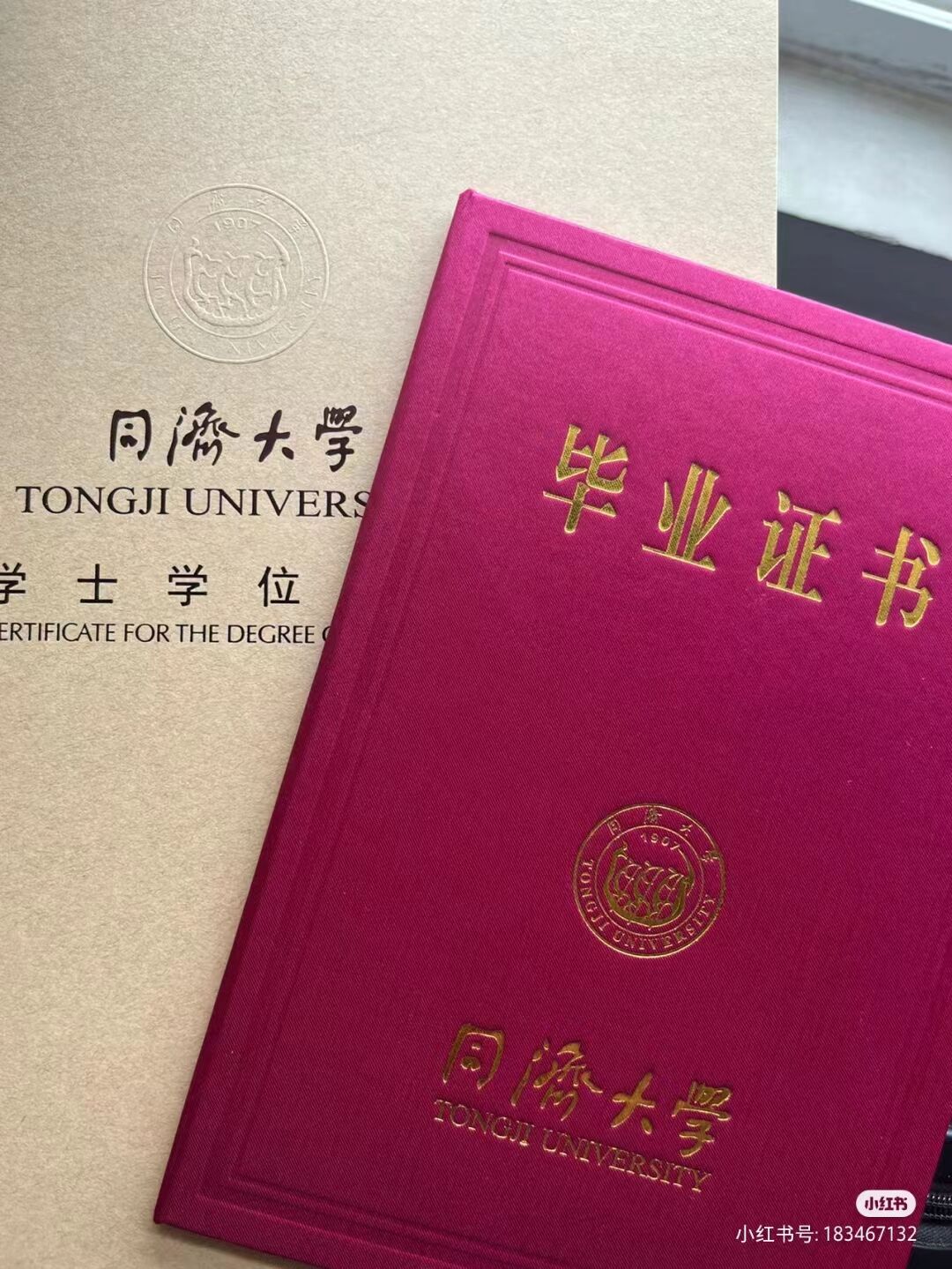 同济大学-校园素材-同济大学学士毕业证