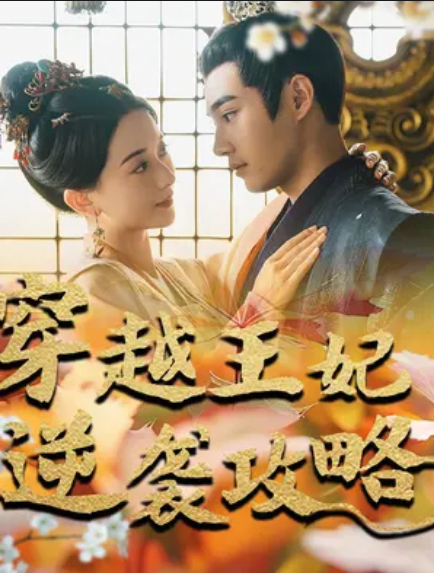 穿越王妃逆袭攻略