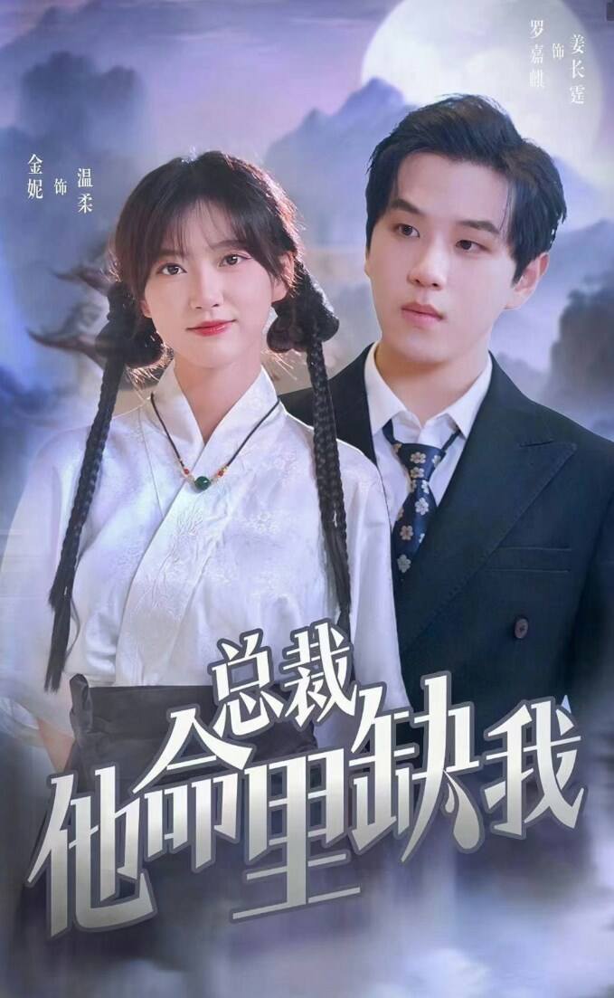 总裁他命里缺我