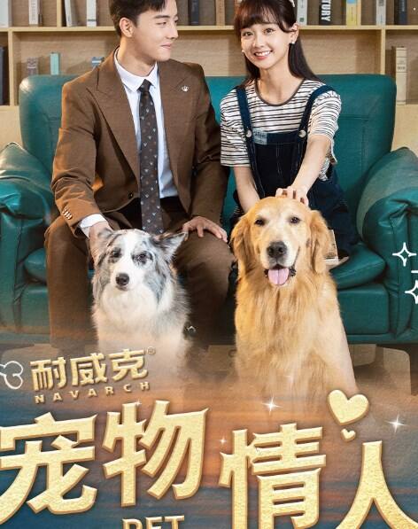 宠物情人