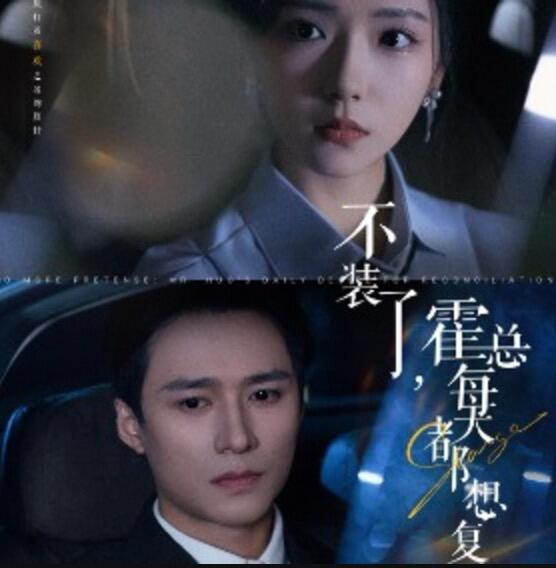 不装了霍总每天都想复婚