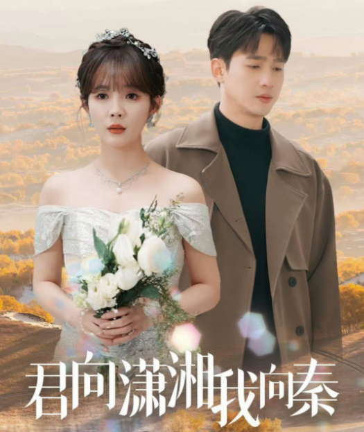 君向潇湘我向秦