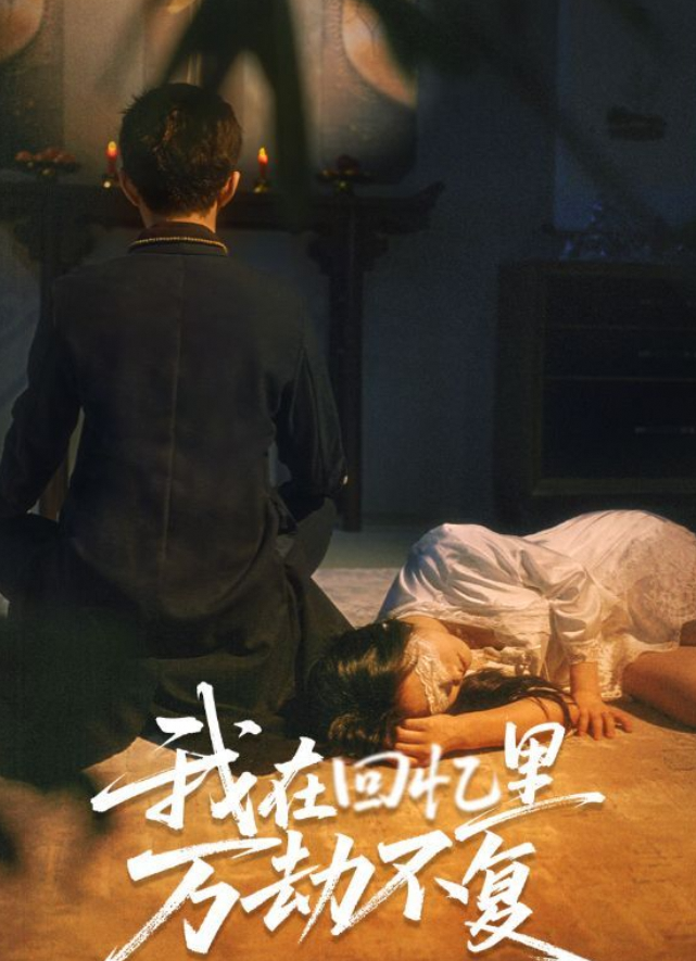 我在回忆里万劫不复