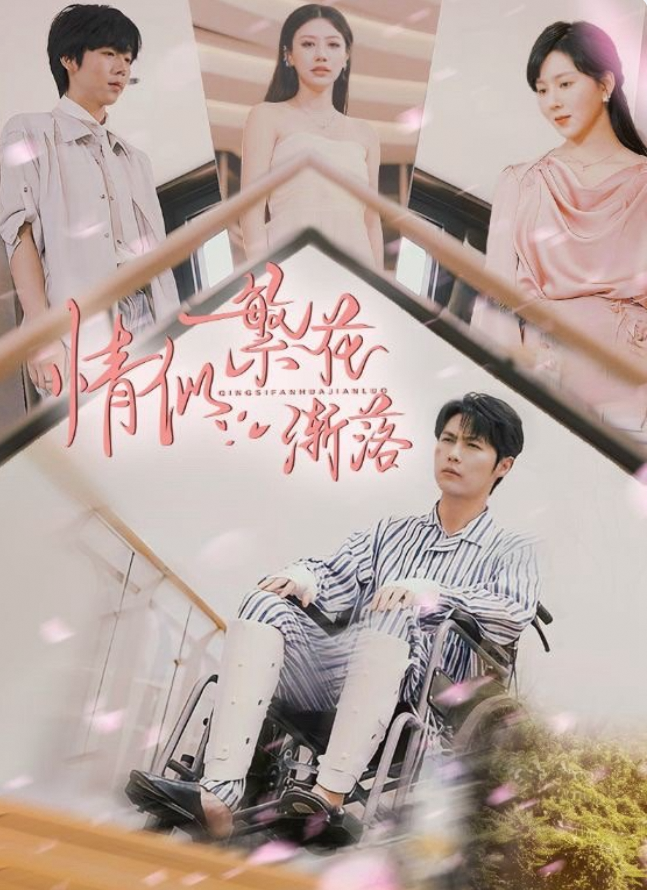 情似繁花渐落
