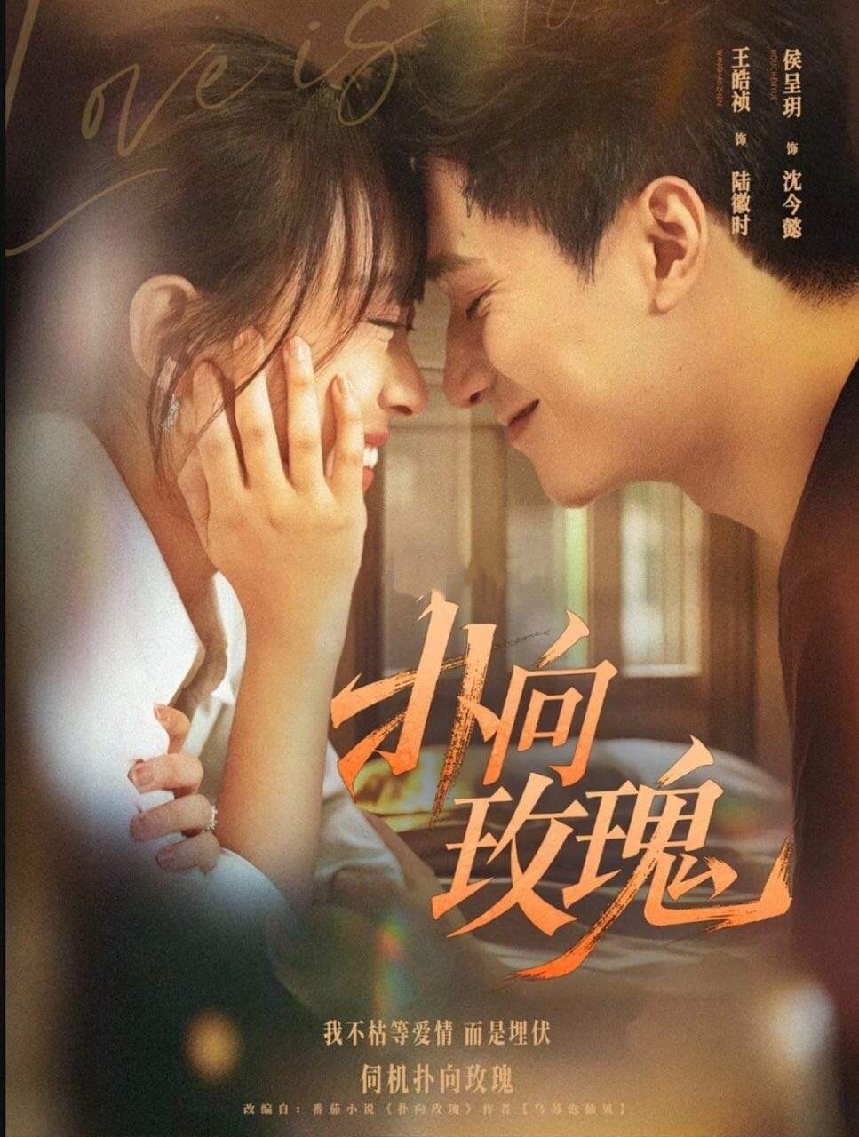 扑向玫瑰