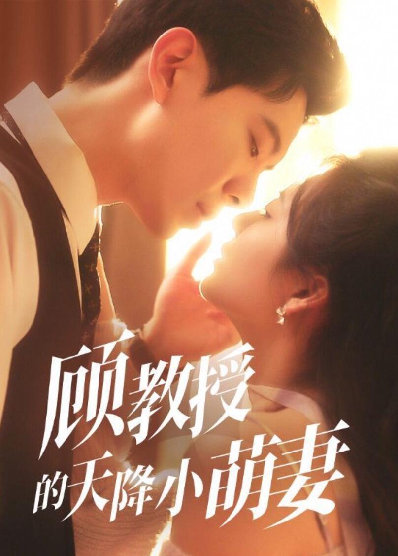 顾教授的天降小萌妻