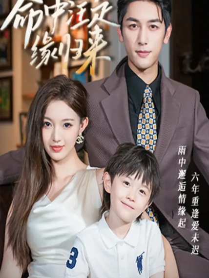命中注定缘归来