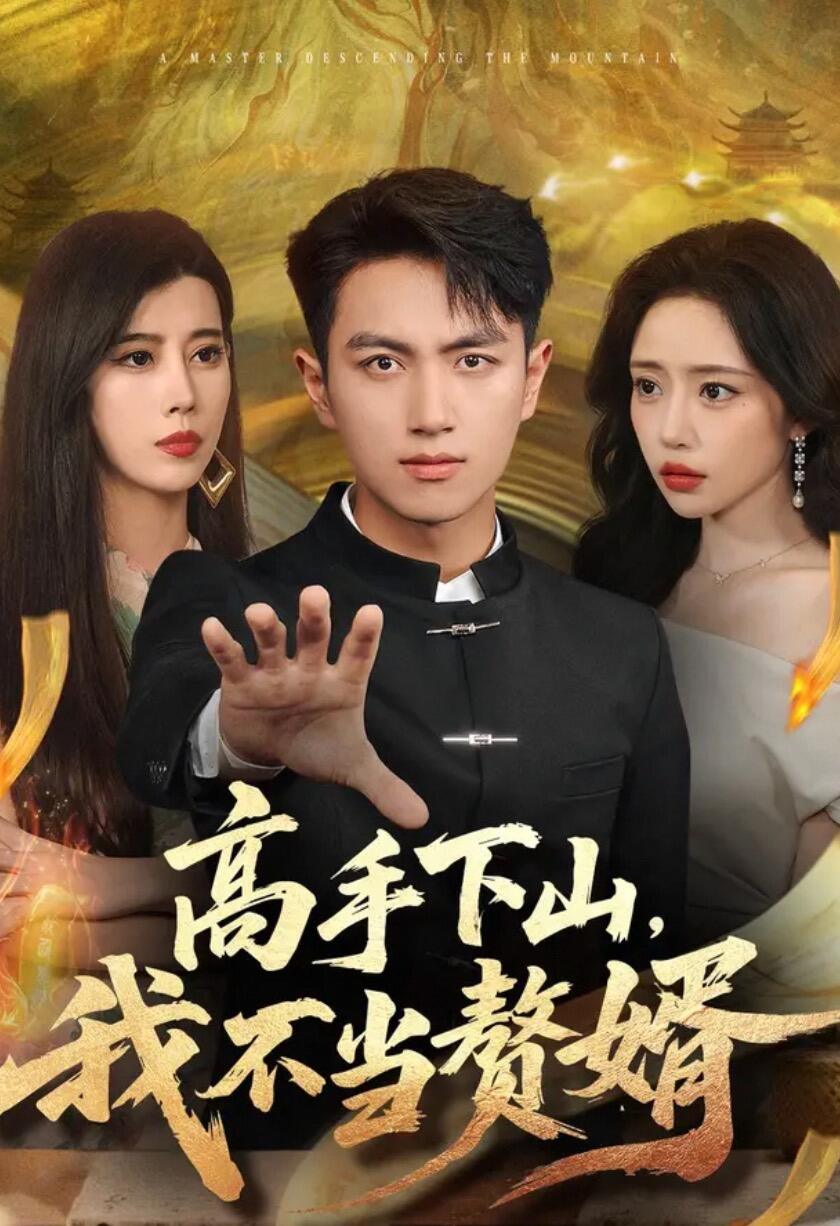 高手下山我不当赘婿