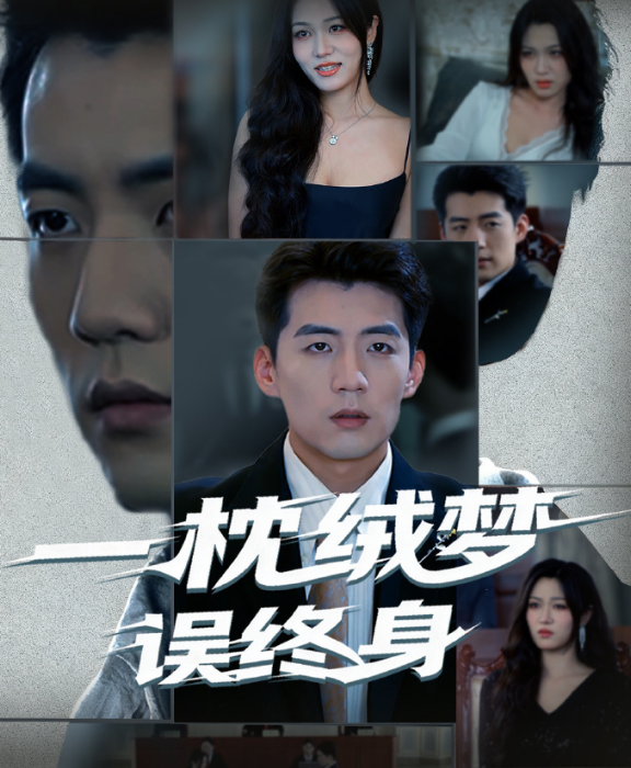 一枕绒梦误终身