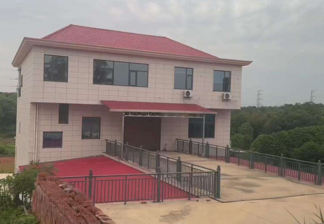 暗访长沙地下代孕实验室