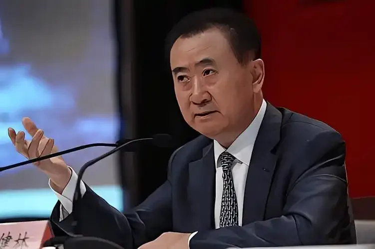 王健林名下股权再遭冻结4.9亿元