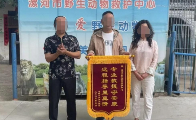 男子被蝮蛇咬发现全市无适配血清