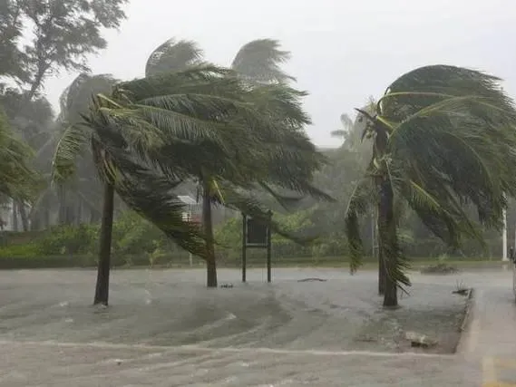 台风“米娜”生成，惠州三地停课