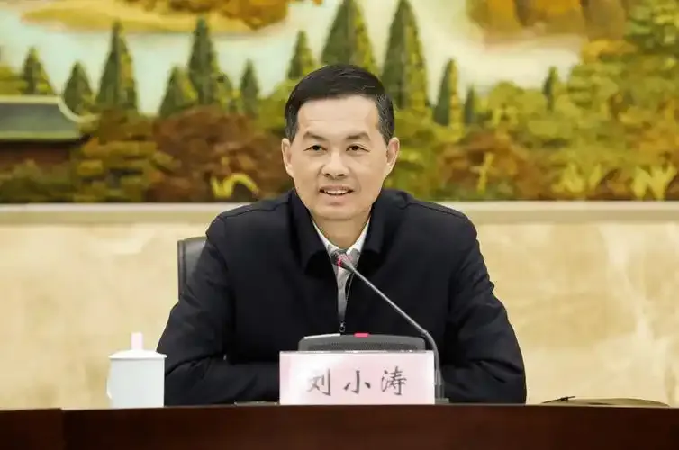 刘小涛任江苏省代省长